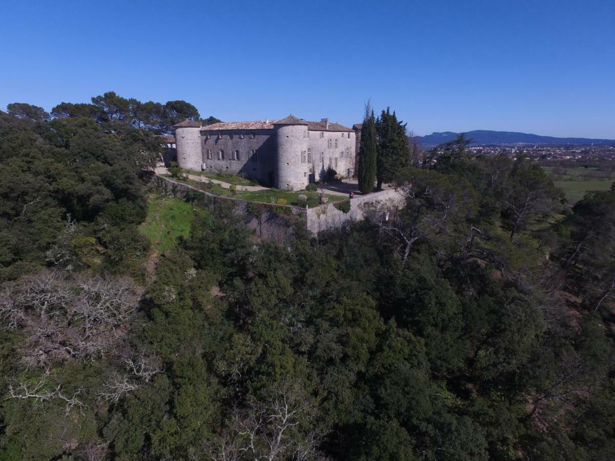 Chateau De Rousson Екстериор снимка