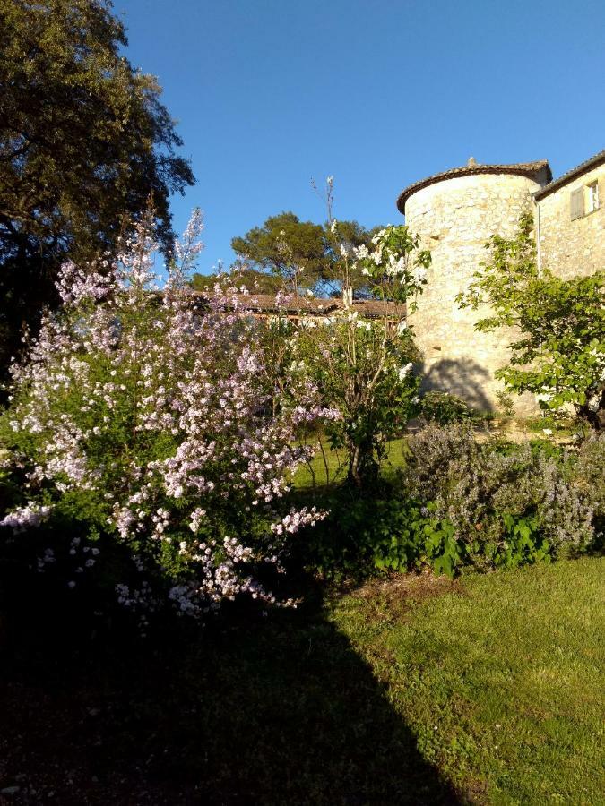 Chateau De Rousson Екстериор снимка